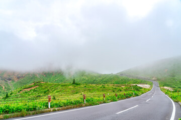 【志賀草津高原道路】霧中の幻想的な道路