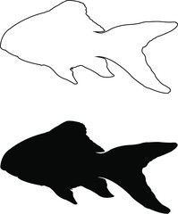 silhouette of a fish, shark