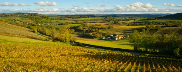 Foto op Canvas Panoramisch de vallei van Vézelay (89450), Yonne in Bourgondië-Franche-Comté, Frankrijk © didier salou