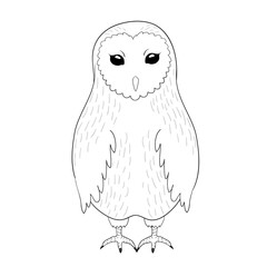 Barn owl. Contour coloring page vector art