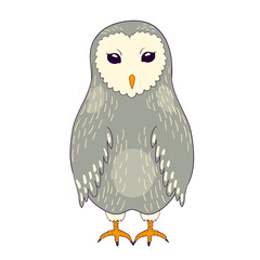 Cartoon barn owl. Colored vector bird art
