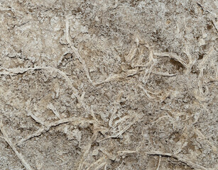 Salt flat. The soil is rich in salts.Texture of a dried-up lake.