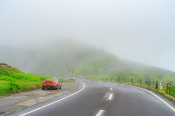 【志賀草津高原道路】霧中の幻想的な道路