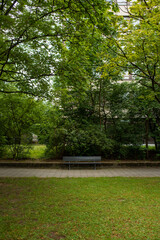 path in the park