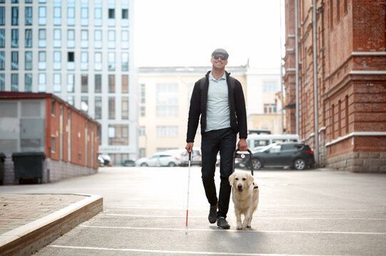 Blind Man With Cane And Guide Dog Walking On Pavement In Town, Adorable Golden Retriever Help His Disabled Owner, Dog Is Best Friend