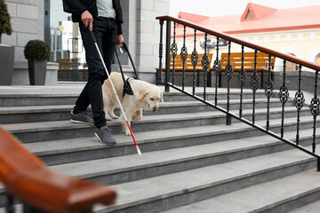 blind caucasian man guided by puppy. pet icon sign or symbol. guy with companion friend in city...