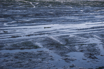 The beautiful and curious tidal mud flat.