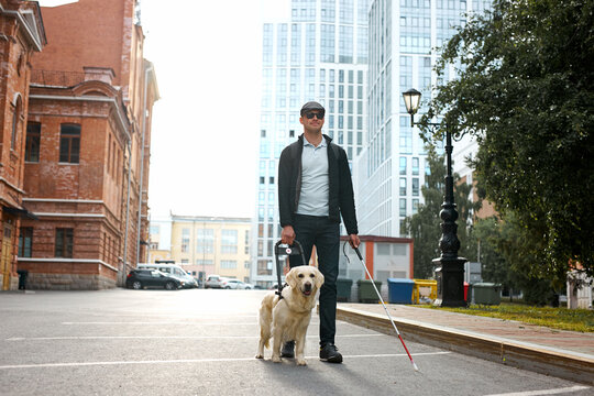 the concept of the young blind invalid and the dog guide, little golden retriever help man to cross streets