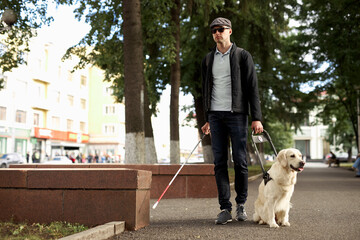 the concept of the young blind invalid and the dog guide, little golden retriever help man to cross...