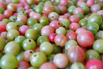 Red and green wet gooseberries background