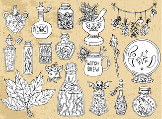Set of scary Halloween traditional symbols and objects with witch bottles, herbs and magic potion.