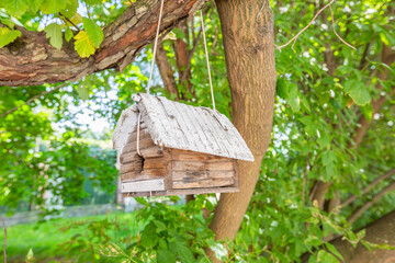 Wooden birdhouse-feeder in the summer city park
