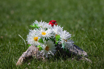 A red loris hidden in a bouquet of daisies flowers