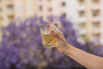 A hand holds a glass of white wine whisky against the background of houses and a blooming jacaranda tree in Lisbon, Portugal.