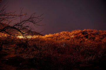 The beautiful night view of mountain.