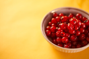 Red currants on a yellow background. Close-up. With copy space.