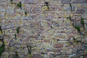 green moss on a red sandstone wall