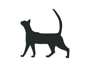 Cat icon.  Walking cat vector. Cat vector design. 