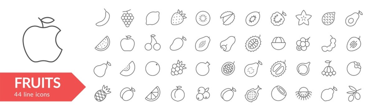 Fruits line icon set. Isolated signs on white background. Vector illustration. Collection