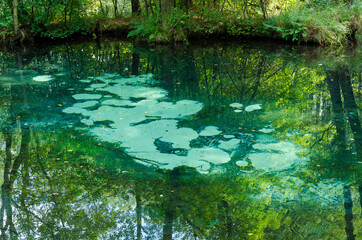 The Blue Springs Nature Reserve, Poland