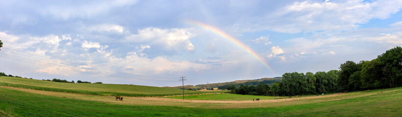 Rainbow over a rural landscape with horses and fields in Germany near Velbert Langenberg, Neviges...