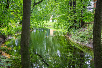 City summer park with a picturesque shady stream and greenery
