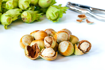 Fresh green hazelnuts (cobnuts)