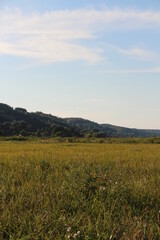Countryside landscape on a sunny warm day with clear blue sky