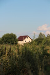 Summer house at the countryside with green leafs and trees