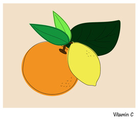 vector illustration of orange and lemon