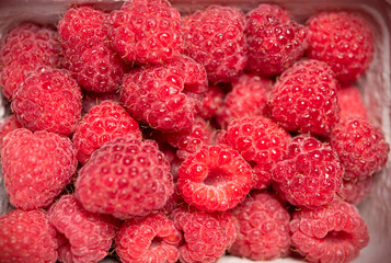 Delicious first class fresh raspberries covered with water drops. Summer wallpaper with raspberries
