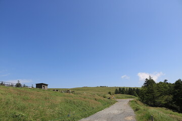 高原の風景