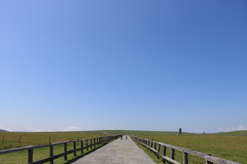 高原の風景