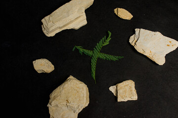 organic raw clay with herbs on a textured black background. bentonite clay for cosmetic industry, spa or home use