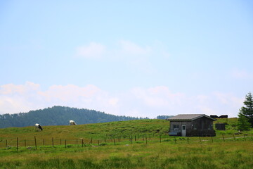 高原の風景