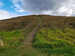 Beautiful view of a park with blue sky and dark clouds in the sky, Millennium parklands, Newington, Sydney, New South Wales ,Australia