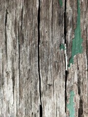 Fototapeta premium old wood texture