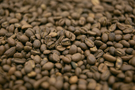 Coffee bean. A mixture of different types of coffee beans. can be used as a background