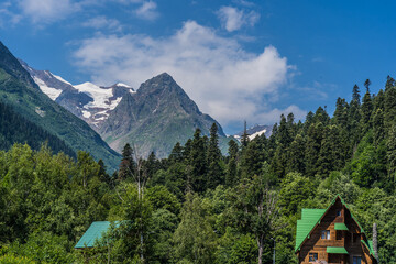 Fototapeta na wymiar Beautiful landscape of glacier in summer season. Glacier mountain with green vegetation on high ground in cloudy weather.