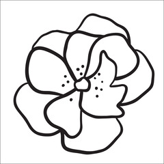 Black and white sketch plant line on white background. Vector illustration.