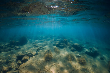 Fototapeta na wymiar Underwater view with stones and seaweed in transparent sea. Sunlight in ocean