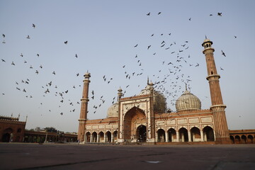 Birds flying over the famous Indian monument Jama Masjid in Delhi 
