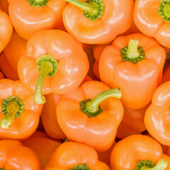 colorful orange peppers top view closeup, natural background