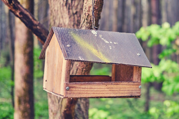 Wooden bird feeder in the form of a house in the summer forest, close-up