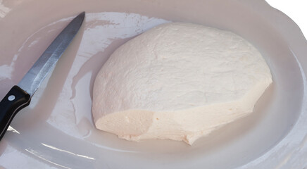 goat and cow cheese, dairy product from milk isolated on white background