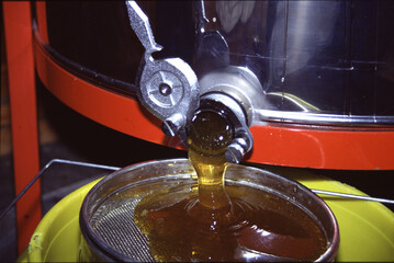 Die mit Honig gefuellten Waben werden in einer automatischen Radialschleuder entleert. Thueringen, Deutschland, Europa