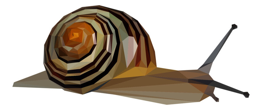 Lowpoly Snail Vector Illustration