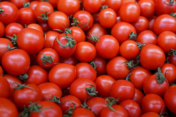 fresh tomatoes for sale in the market