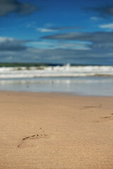 Yellow sand in focus, ocean wave and blue sky out of focus, Abstract nature background.