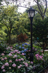 Madison Square Park Street Light with Colorful Flowers during Summer in New York City